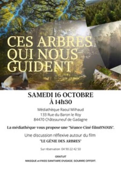 Médiathèque - Ciné-discussion