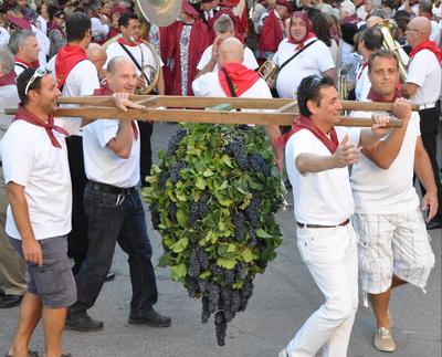 Ban des Vendanges