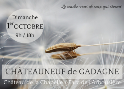jardin d'automne
