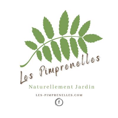 jardin d'automne