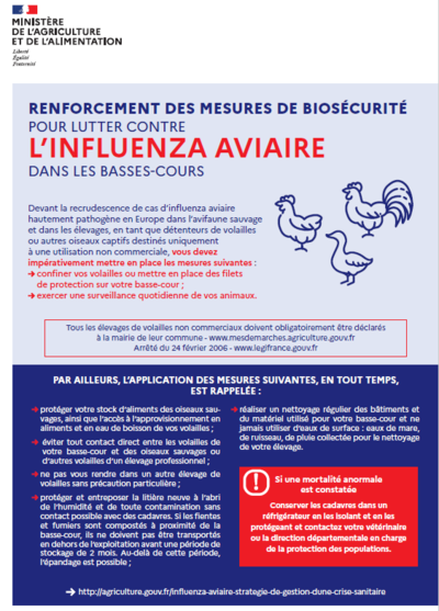 influenza aviaire