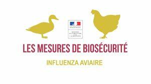 Grippe aviaire : cas avéré dans le Vaucluse