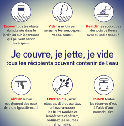 Lutte contre le moustique tigre