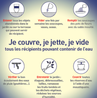 Lutte contre le moustique tigre