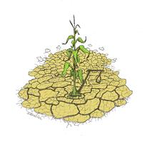 Catastrophe naturelle sécheresse 2018 - suites