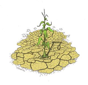 Catastrophe naturelle sécheresse 2019