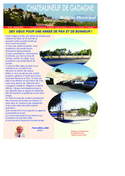 Bulletin municipal Châteauneuf de Gadagne - Janvier 2013