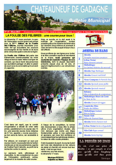 Bulletin municipal Châteauneuf de Gadagne - Mars 2013