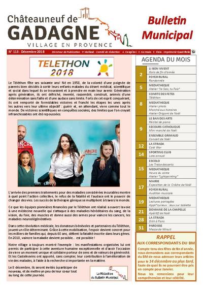 Bulletin municipal Châteauneuf de Gadagne - Décembre 2018