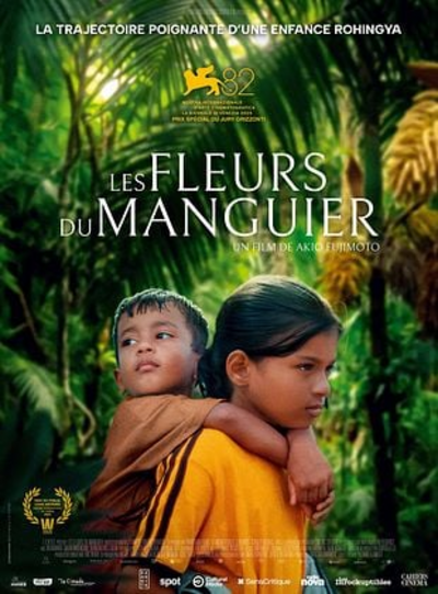La Strada: LES FLEURS DU MANGUIER
