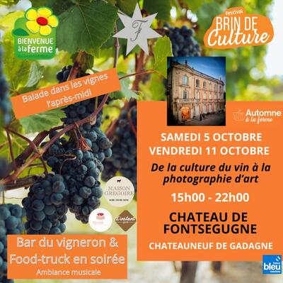 Festival brin de culture