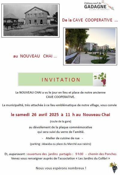 découverte du nouveau chai