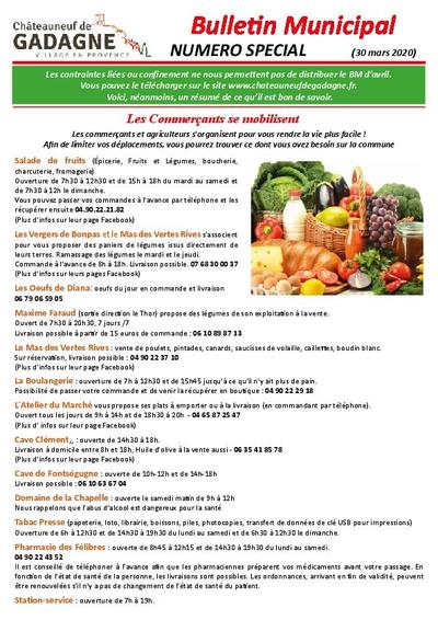 Bulletin municipal Châteauneuf de Gadagne - BM Spécial n°1